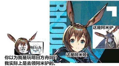 阿米驴