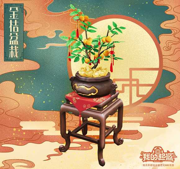 我的起源金桔盆栽