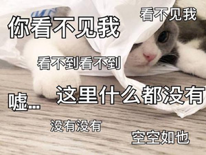 看不见