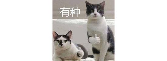 在机场打PS4