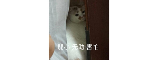 iphone降速门
