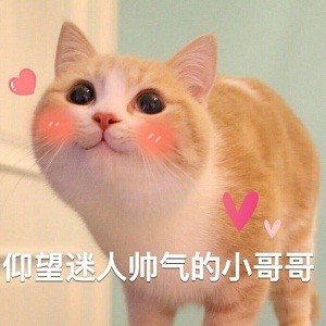 帅气