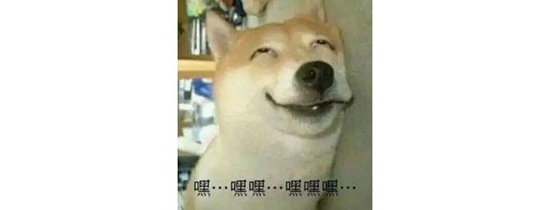 黄昏恋模拟器