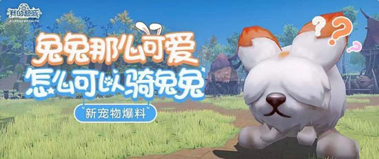 我的起源