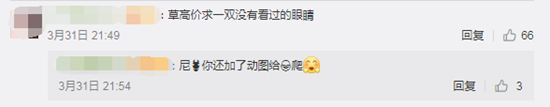 泰国小哥低成本COS动森