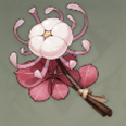 原神霓裳花哪里有
