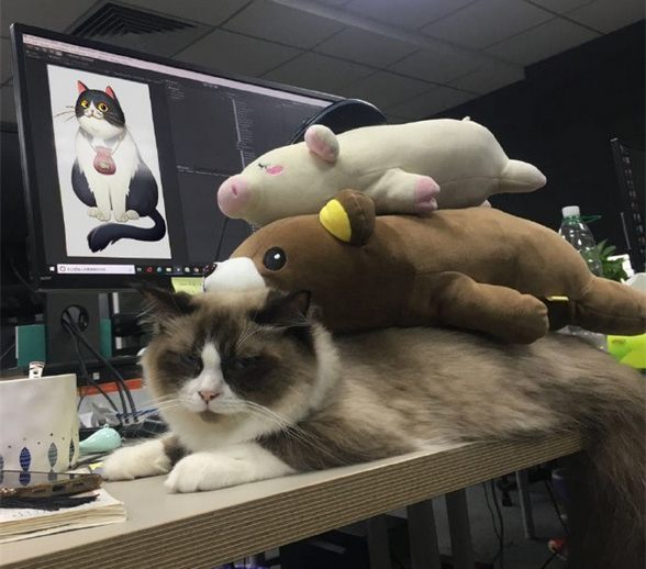 木狼