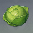 原神卷心菜