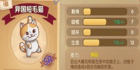 狗狗呼叫喵星攻略之破棍流
