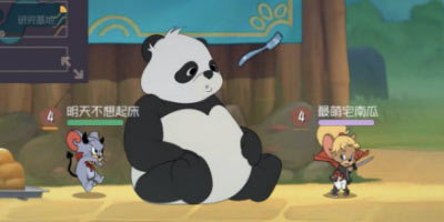 新成员加入！《猫和老鼠》x佛坪熊猫谷国宝联动曝光