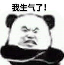 我的侠客异性