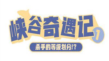 王者荣耀澜峡谷奇遇记1——杀手等级划分