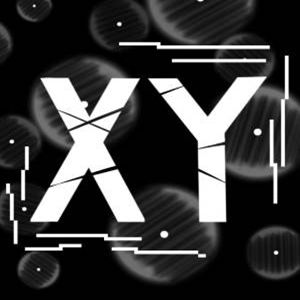 XY