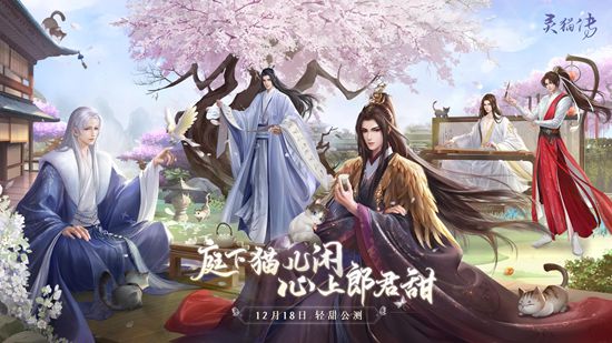 灵猫传