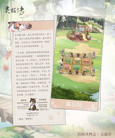 灵猫传