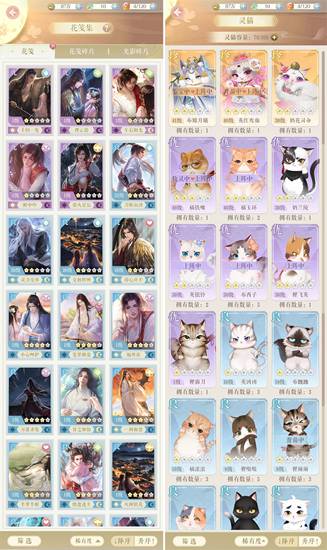 灵猫传