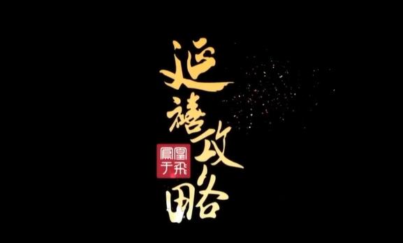 延禧攻略之凤凰于飞下载