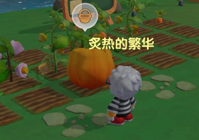 摩尔庄园太空大南瓜