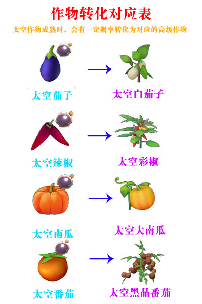摩尔庄园太空飞行器