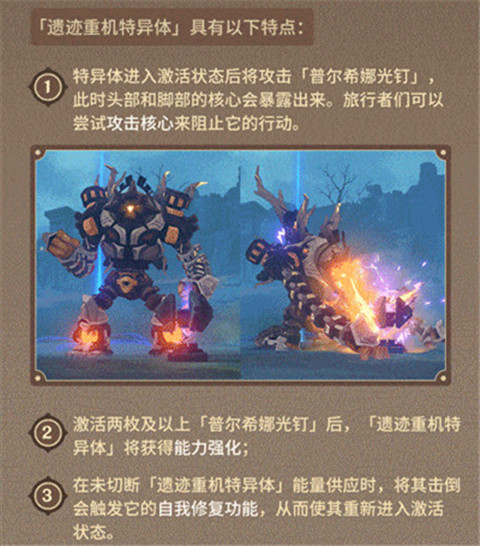活动说明