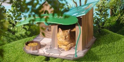 《部落冲突》联名PETKIT小佩宠物搭建公益猫屋，“流浪英雄小屋”高校安家