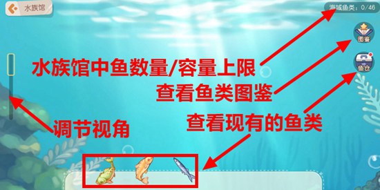 奥比岛手游钓鱼