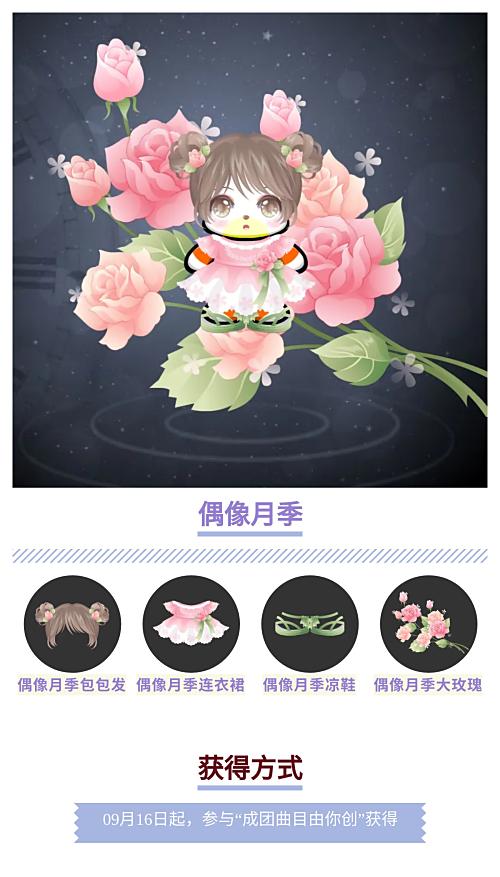 偶像月季