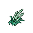 碱草获取途径 碱草常见用途一览