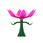 暗放之花属性介绍 艾芙海姆怪物大全
