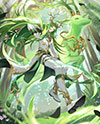 奥奇传说[灵初]苍啸八荒·天蛮王