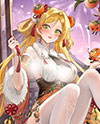 奥奇传说柿柿如愿·诺雅图鉴 传